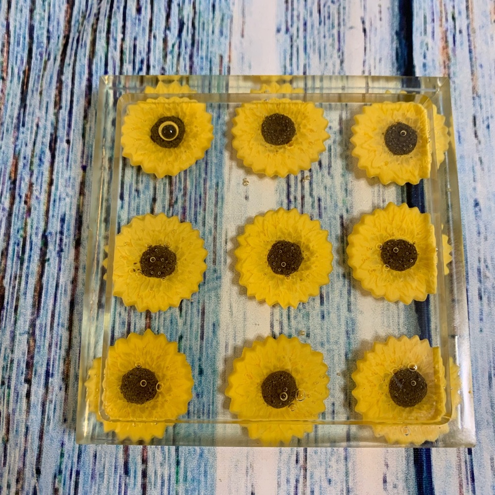 Resin coaster